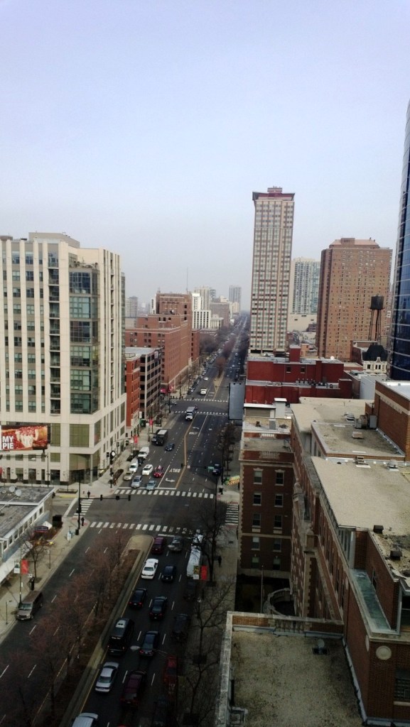 North View N LaSalle Godfrey Hotel